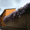 Отель Un Angolo Di Tranquillità In Centro, фото 1