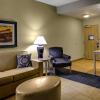 Отель Hampton Inn & Suites Dodge City, фото 49