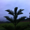 Отель Baan khao kho kheingthara, фото 9