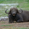 Отель Arusha Villa, фото 23