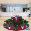 Отель Zhao Ri International Hotel, фото 7