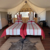 Отель Ohorongo Tented Camp, фото 2