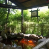 Отель Huitang Zilongwan Hot Spring Holiday Hotel, фото 15