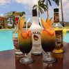 Отель Coral Ocean Resort, фото 13
