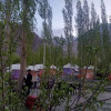 Отель Nubra Ethnic Camp, фото 9