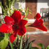 Отель Mylaohome Hotel & Spa, фото 11
