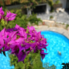 Отель Sitia Beach City Resort & Spa, фото 25
