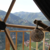 Отель Bogina Dome & Suite, фото 18