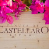 Отель Wine Relais Tenuta di Castellaro, фото 1