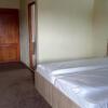 Отель Pensiunea Leia, фото 4