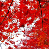 Отель Shikino Yado Minoya Hotel, фото 8