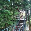 Гостиница Guest house Rosaliya в Сочи