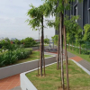 Отель BekvämHome Impiria Residensi Klang, фото 10