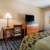 Отель Quality Inn South, фото 24