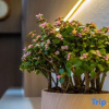 Отель Hanting Hotel Taiyuan South Inner-ring Street, фото 6