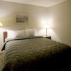 Отель Comfort Inn 1000 Islands, фото 15