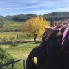 Отель Podere Terreno alla Via della Volpaia, фото 24