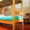 Отель La Chola Hostel, фото 7