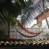 Отель Palm Tree Hostal Medellin - Hostel, фото 8