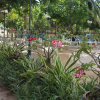 Отель D.R. Lanta Bay Resort, фото 19