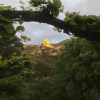 Отель L'abri la Vall, фото 11
