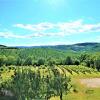 Отель Large Farmhouse in Umbria -swimming Pool -cinema Room -transparent Geodesic Dome, фото 10