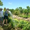 Отель Farmer Homestay, фото 48