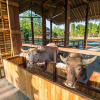 Отель The Buffalo Amphawa (SHA Plus), фото 9