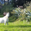 Отель Hacienda Guachalá, фото 20
