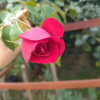 Отель La Casa del Hornero, фото 6