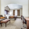 Отель Comfort Inn & Suites Love Field - Dallas Market Center, фото 15