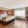 Отель Comfort Inn & Suites, фото 11