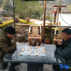Отель Futian Yiye Inn, фото 16