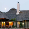Отель Premier Resort Mpongo Private Game Reserve, фото 31
