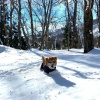 Отель Hakuba Powder Mountain, фото 36