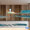 Отель Zhuhai Hongsanyi Hotel, фото 4
