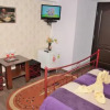 Отель Pensiunea Caro, фото 5