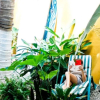 Отель Hostal San Pancho - Hostel, фото 47
