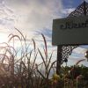 Отель Pawinsin Resort (SHA Extra Plus), фото 19