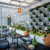 Отель The Sanctuary Residence, фото 19