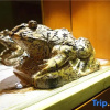 Отель March Flower International Hotel, фото 4