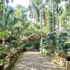 Отель Wayanad Lux Inn, фото 3