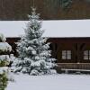 Отель Vango Holiday Village, фото 6