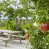 Отель Welcoming Holiday Home With Garden in Leonidio, фото 16