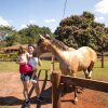 Отель Fazenda Areia que Canta, фото 39