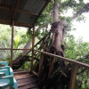 Отель Castle Tree House, фото 4