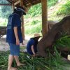 Отель Mahout Hotel, фото 19