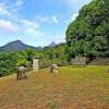 Отель Mt Warning Rainforest Retreat, фото 20