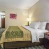 Отель Comfort Inn & Suites, фото 6