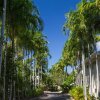 Отель Port Douglas Plantation Resort, фото 18